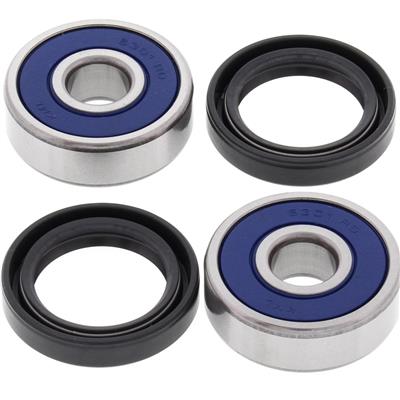 all-balls-wbs-kit---rear-ct110