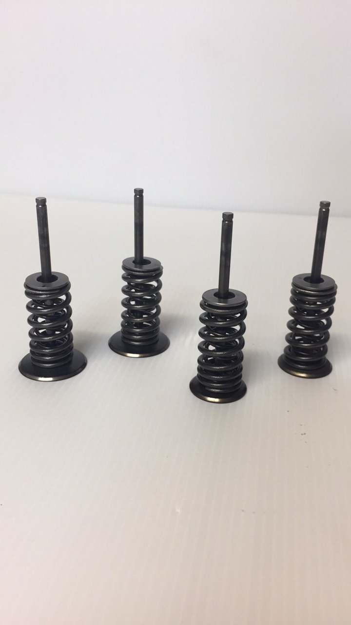 valve-kit-390-duke