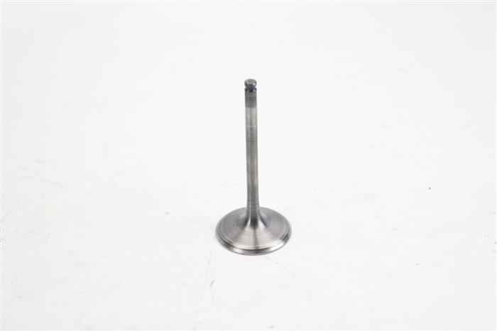 valve-intake